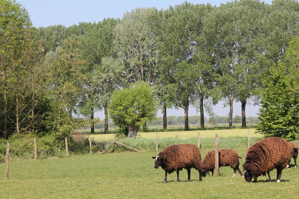 Rest & Rust Werkhoven Exterior foto